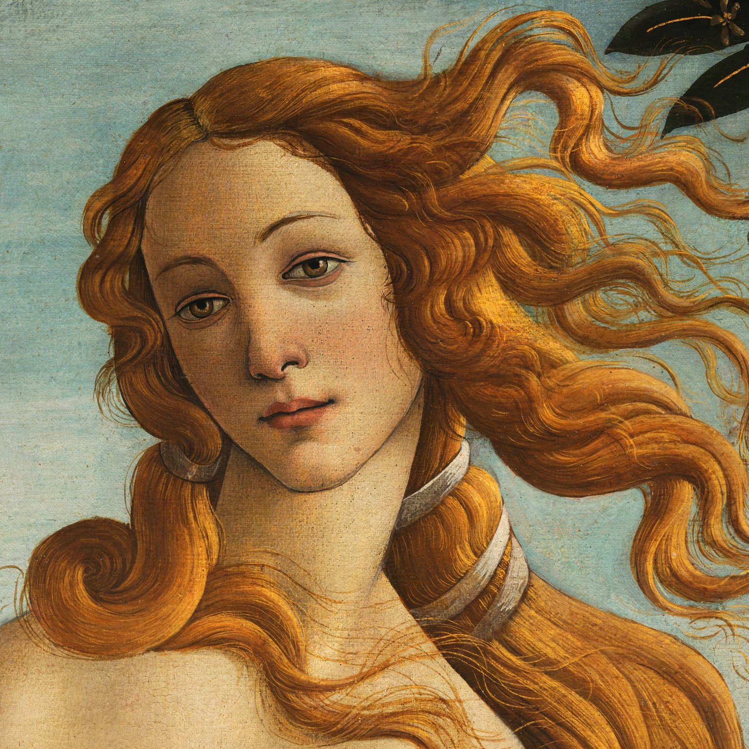 The birth of Venus - Sandro Botticelli — Google Arts & Culture