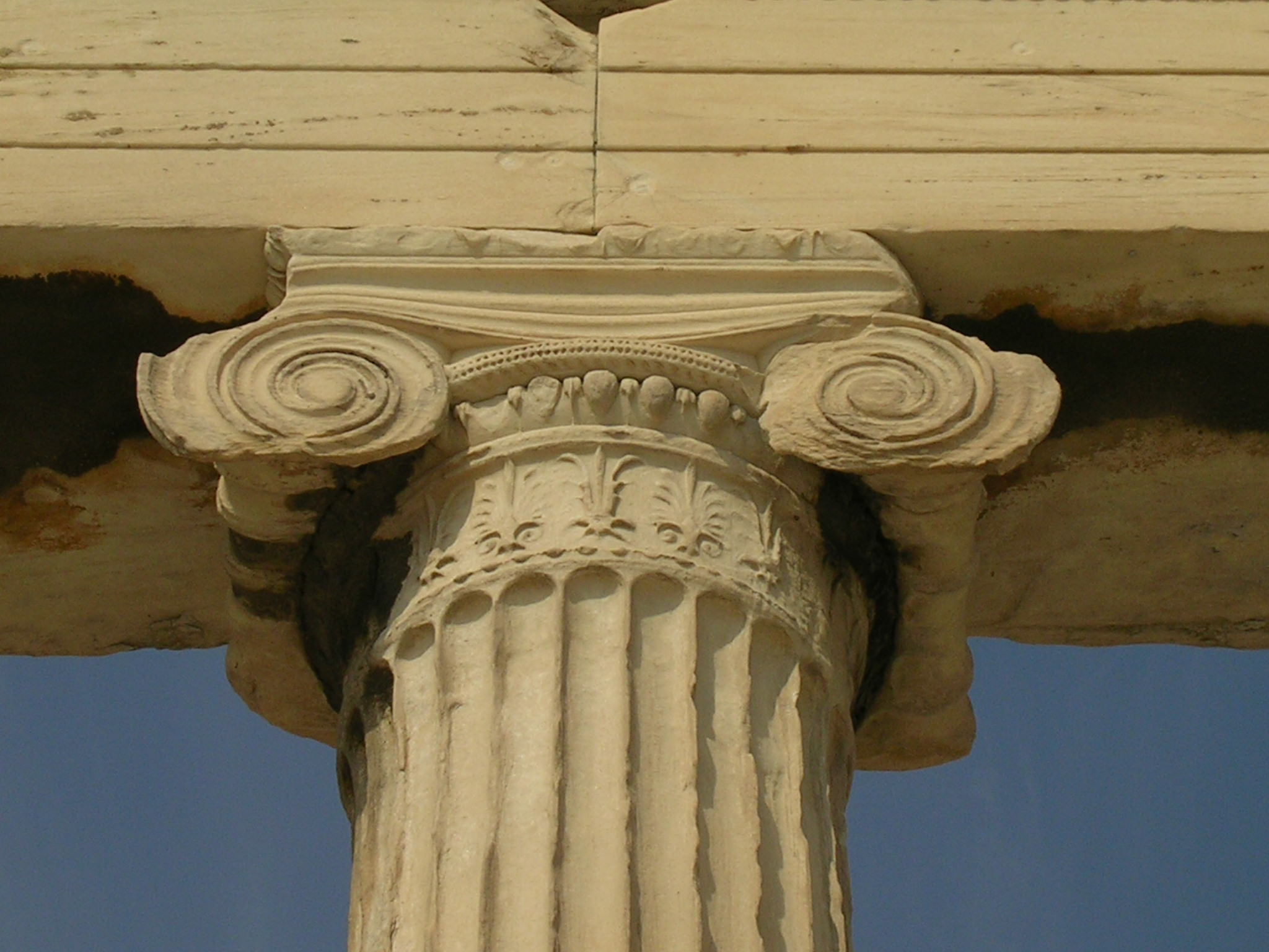 Ionic Capital (Illustration) - World History Encyclopedia