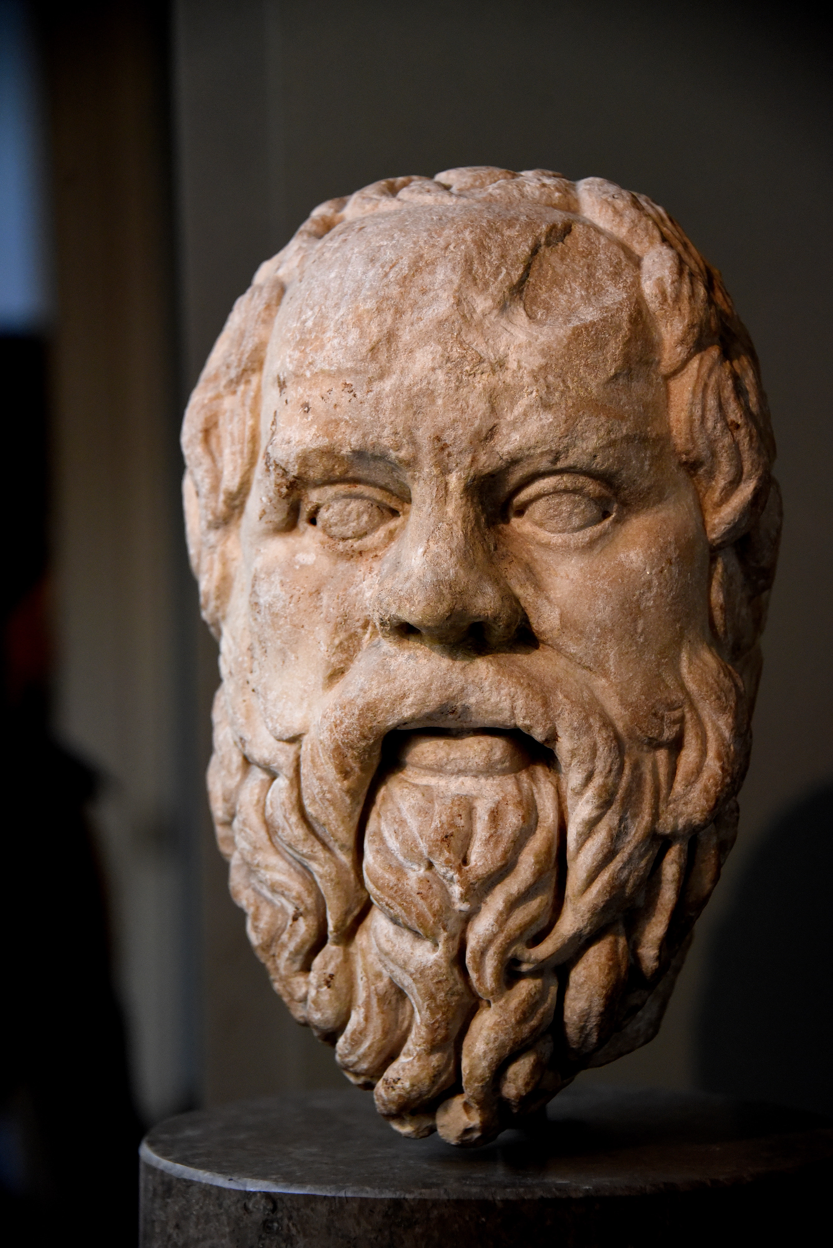 Socrates Bust, Vatican Museums (Illustration) - World History Encyclopedia