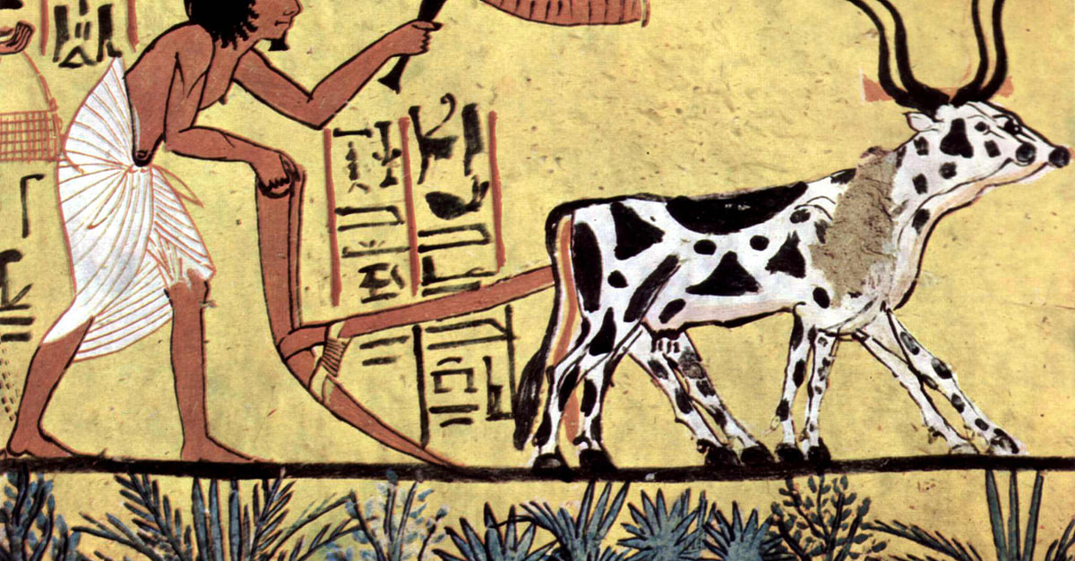 El Antiguo Egipto - 5 cosas que deberías saber - Historia para niños 