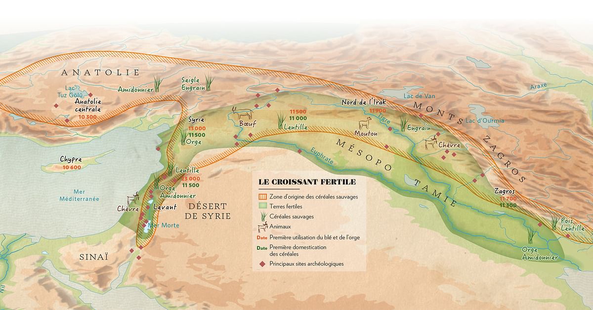 Where Is The Fertile Crescent Located On A Map