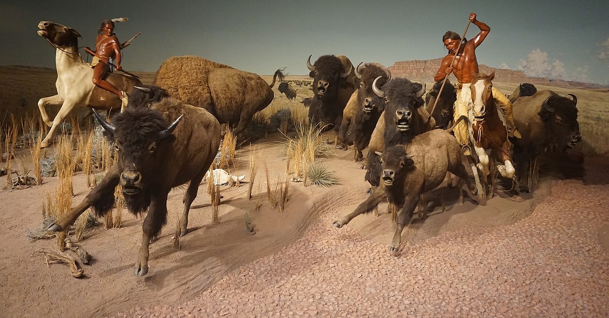 Buffalo and the Plains Indians - World History Encyclopedia