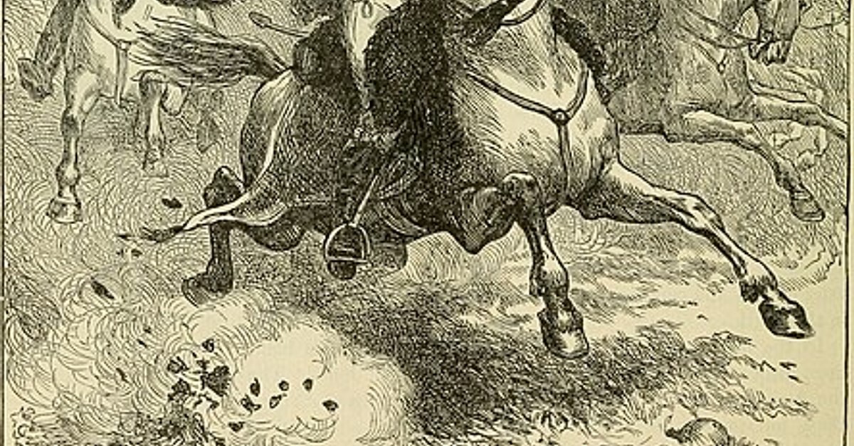 Death of Pulaski (Illustration) - World History Encyclopedia