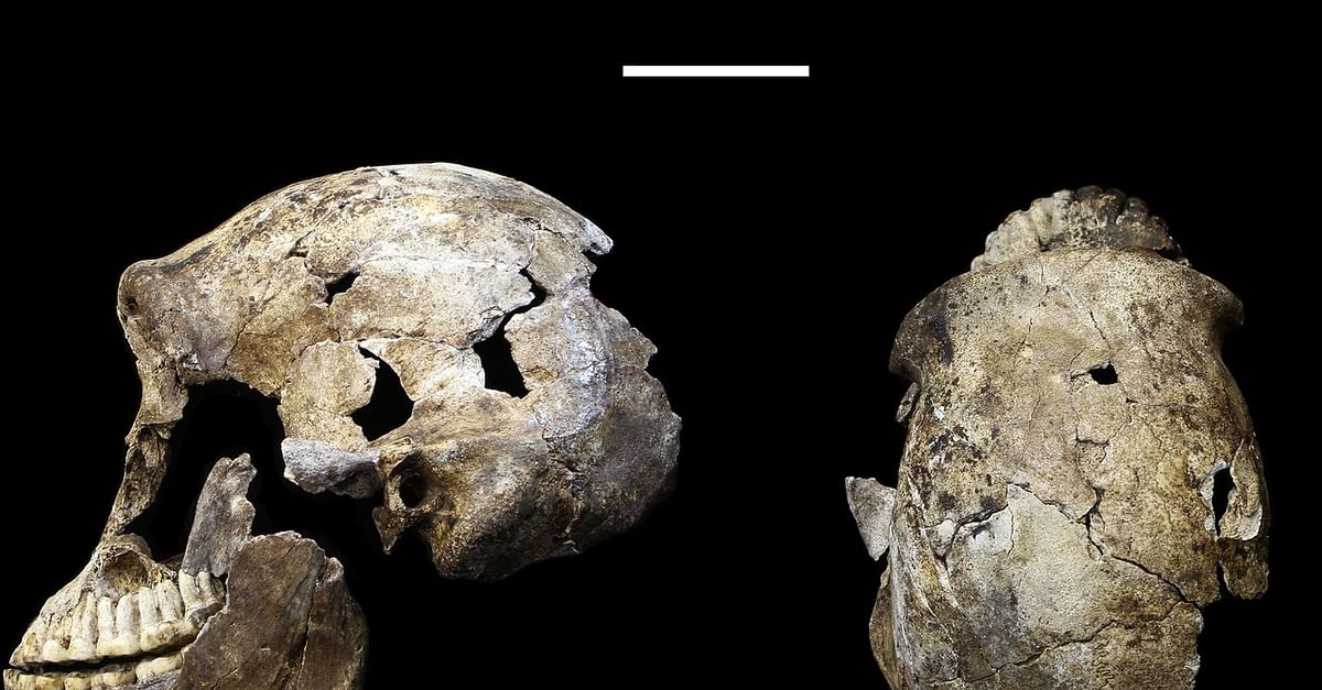 Homo naledi. Пещера Диналеди.