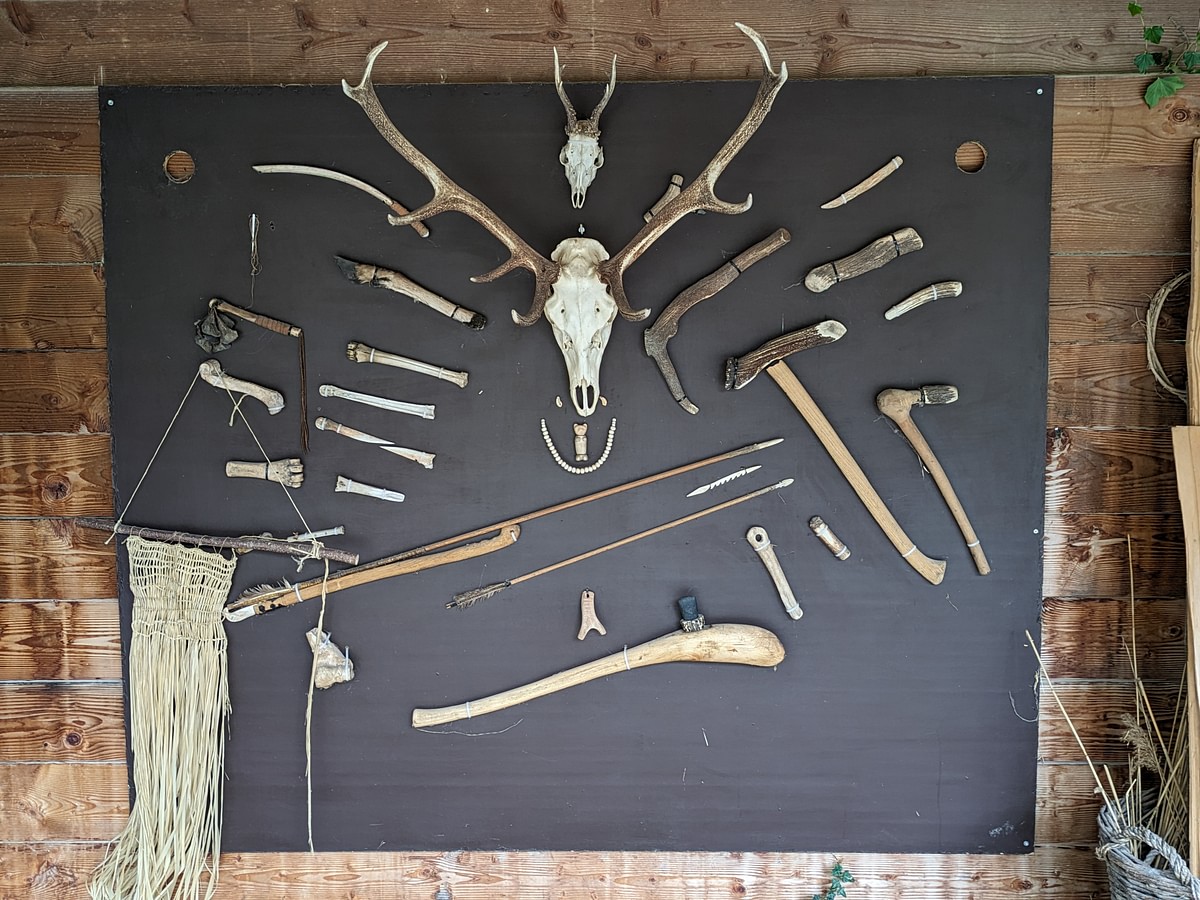 9 Easy Steps for DIY Antler Mount - Western Hunter