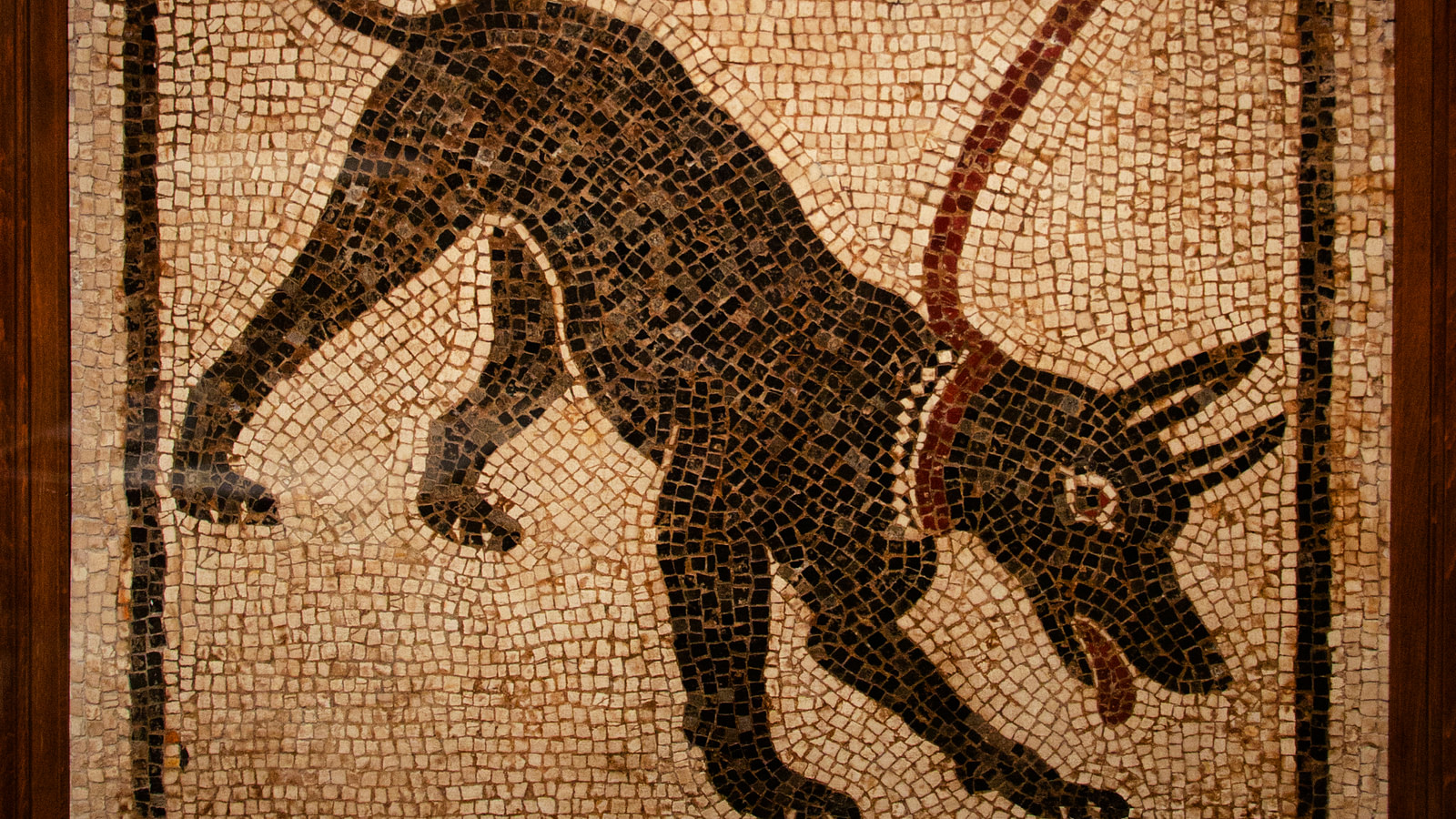 ancient greek chariots war dogs