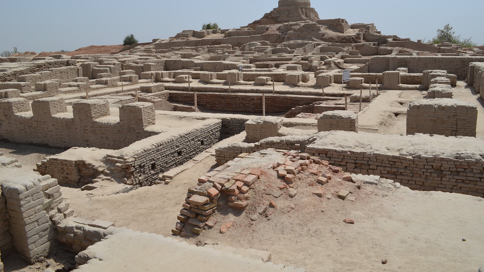 indus valley civilization trade and transportation