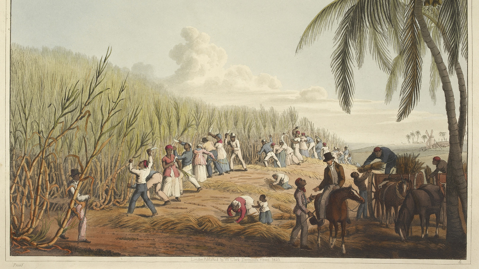 ICI TÉLÉ - Enlevée par des marchands d'esclaves en Afrique de l'Ouest,  Aminata est vendue à l'exploitant d'une plantation en Caroline du Sud. À  travers son destin fertile en épreuves et en
