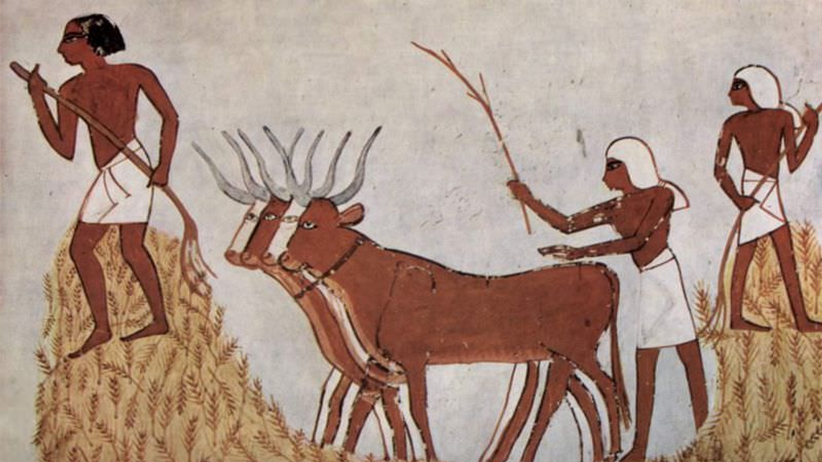 Ancient Egyptian Agriculture - World History Encyclopedia