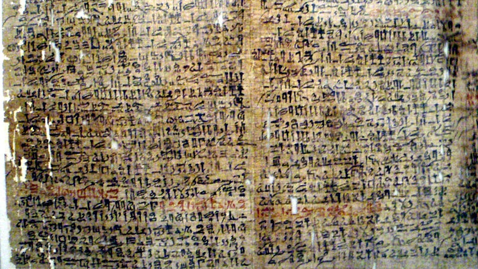 Egyptian Papyrus - World History Encyclopedia