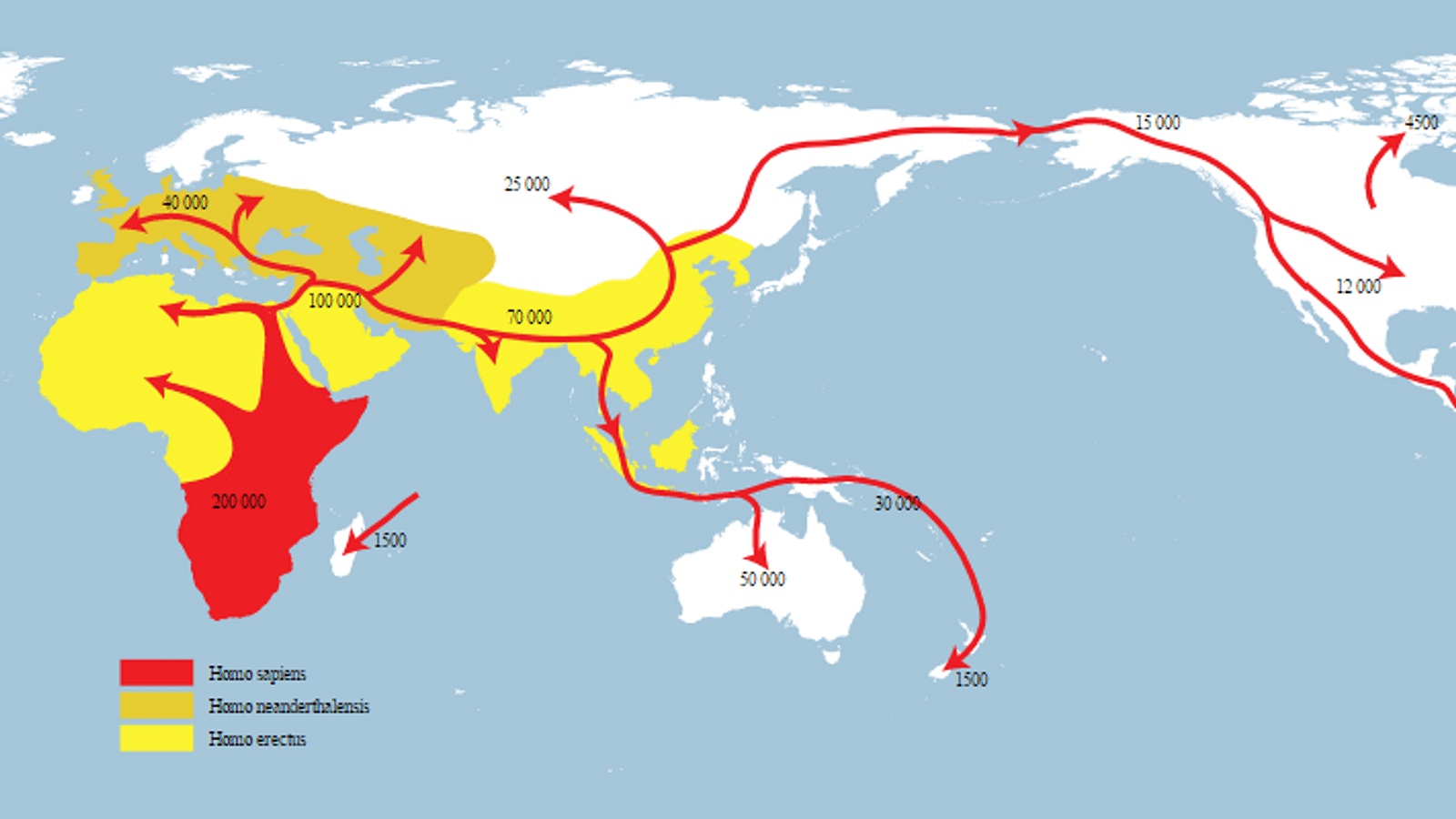 homo sapiens neanderthalensis timeline