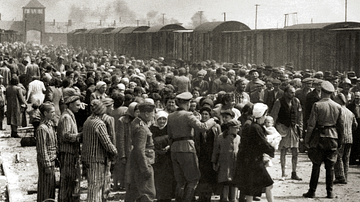 New Arrivals at Auschwitz