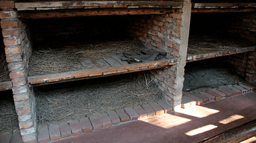 Auschwitz Bunks