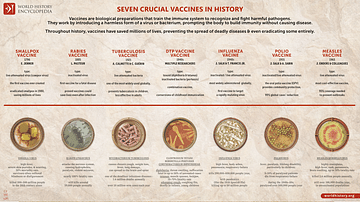 Seven Crucial Vaccines in History