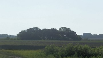 Fort Mose Historic State Park, St. Augustine, Florida, USA