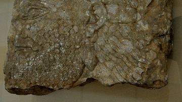 Head of an Apkallu from Nimrud