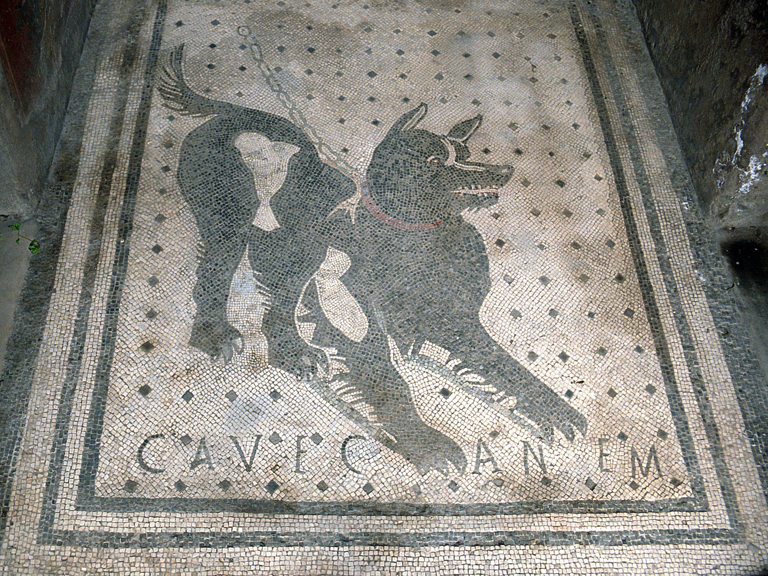 Cave Canem shops Mosaic Box