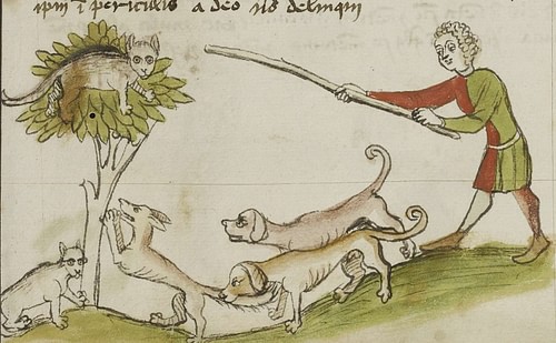 Fantasy-Illustration Einer Getigerten Katze Mit Mittelalterlicher