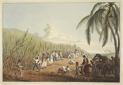 clip art colonial rice plantations