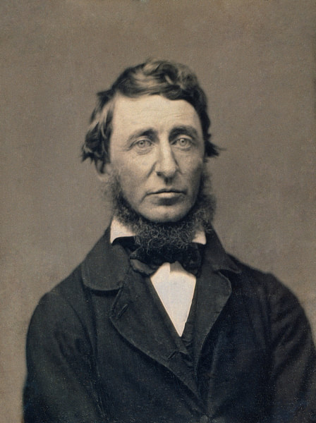 Henry David Thoreau (by Benjamin Dexter Maxham, Public Domain)