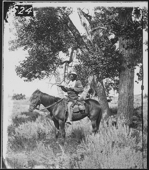 Bloody Knife, Arikara-Sioux Scout for US Army