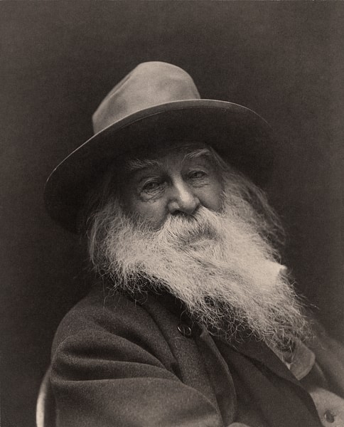 Walt Whitman (by George C. Cox, Public Domain)