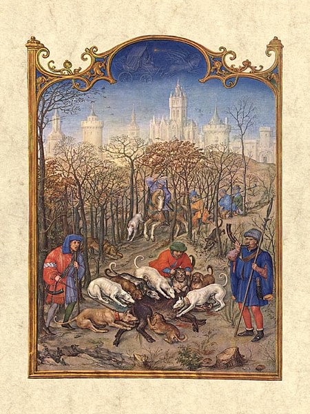 medieval illuminated manuscripts natur