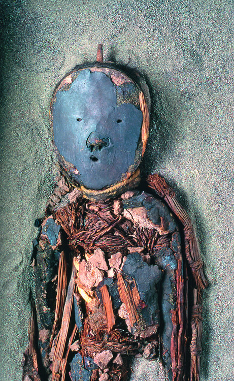 Black Chinchorro Child Mummy