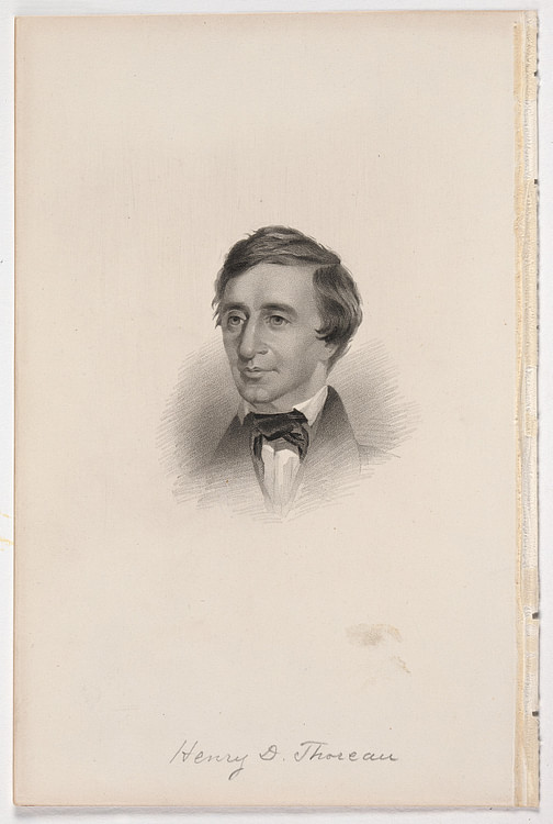 Henry D. Thoreau