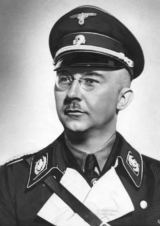 Heinrich Himmler, 1938