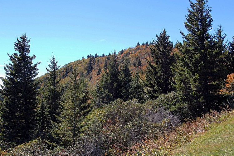 Tanasee Bald, North Carolina