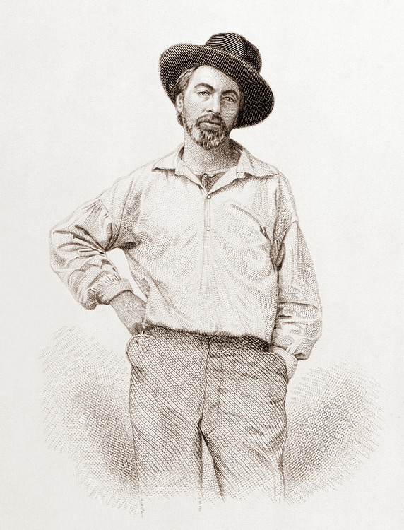 Walt Whitman, Frontispiece to Leaves of Grass