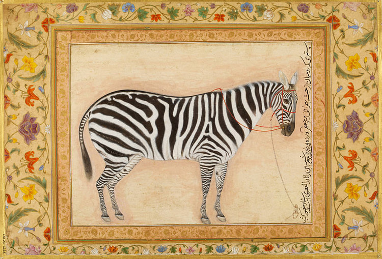 Mughal Zebra Painting