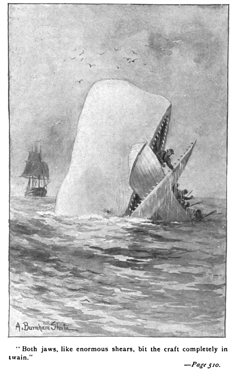 Moby Dick Illustration