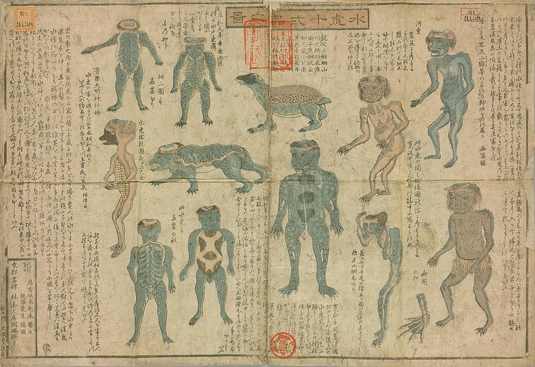 Illustrated Guide to Twelve Kinds of Kappa, c. mid-1800