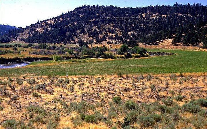 Pit River Valley, Modoc County, California