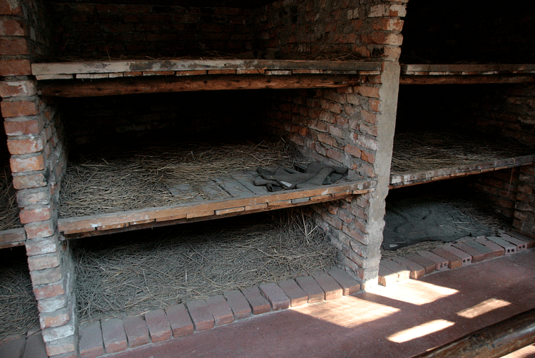 Auschwitz Bunks