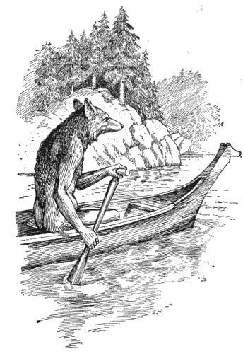 Coyote Canoeing in a Traditional Story