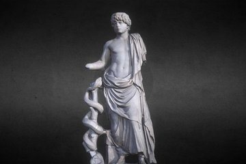 Young Roman as Asclepius