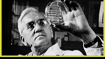 How Alexander Fleming Discovered Penicillin